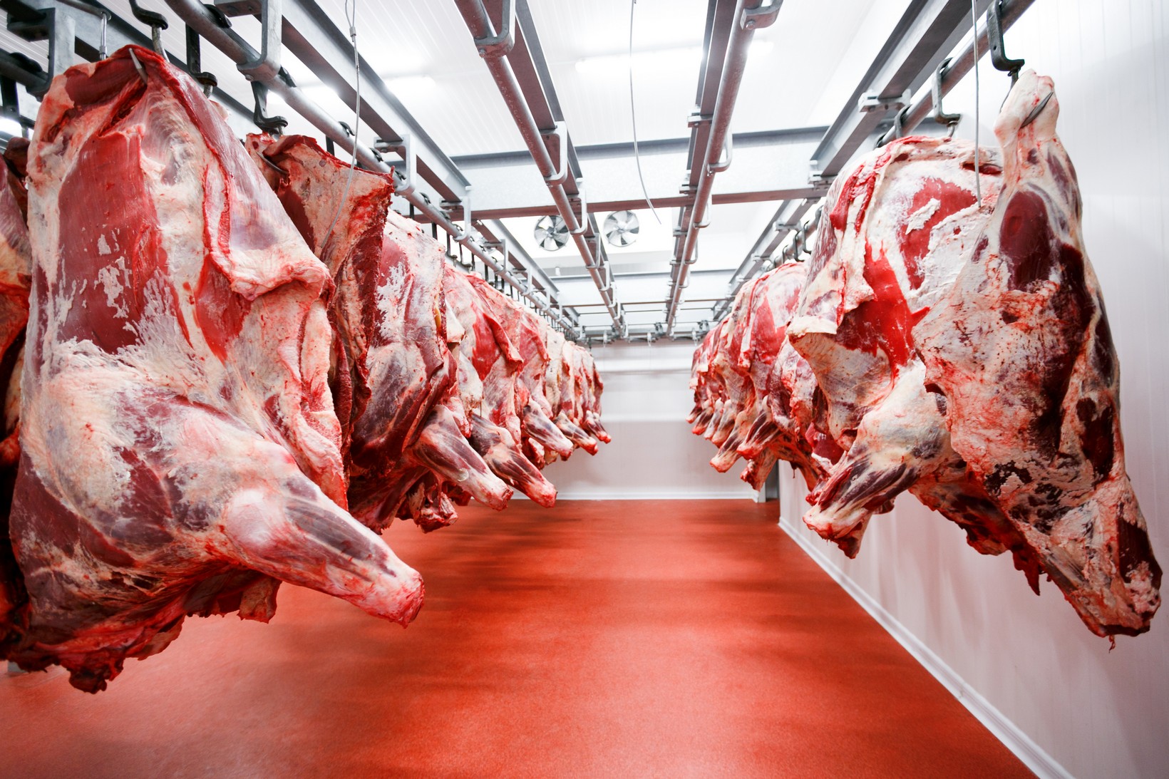 Dry-aging